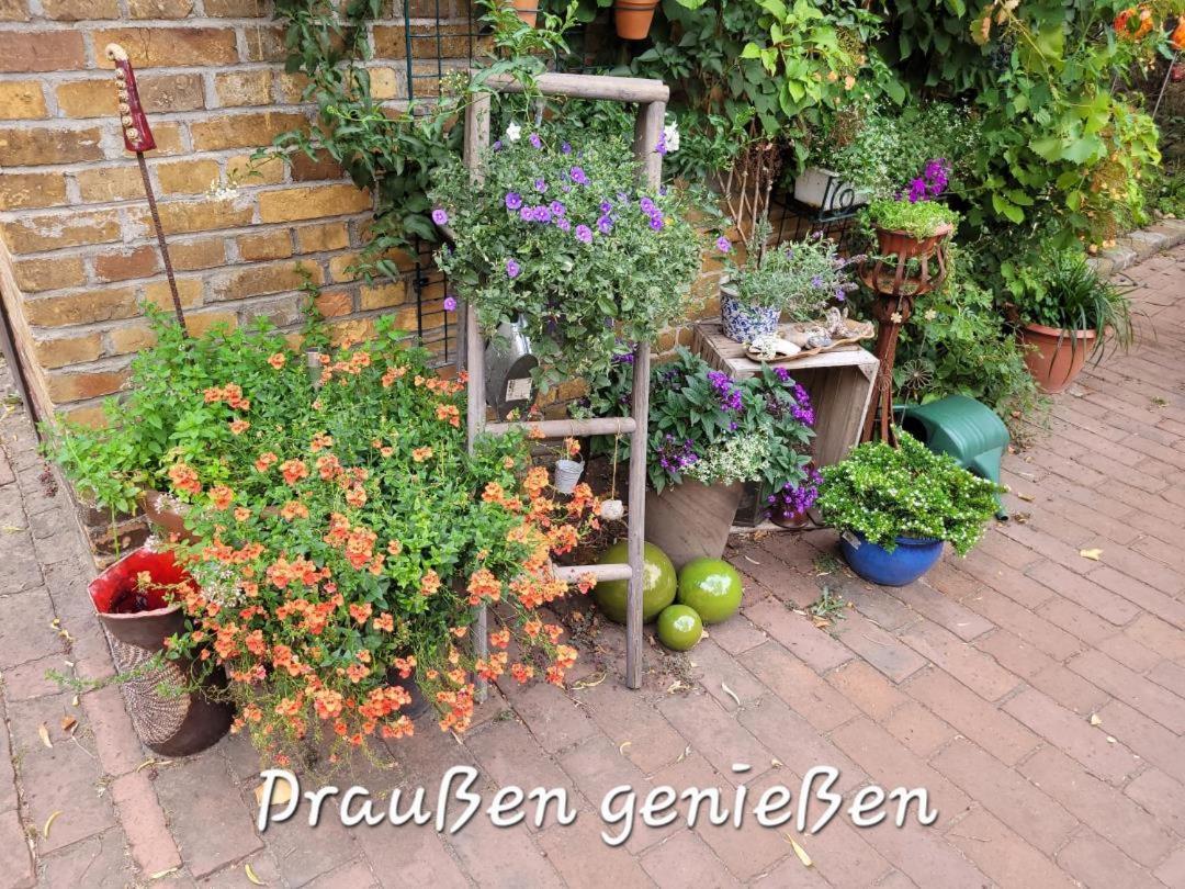 Neu! Stilvolle Fewo Finsterwalde Exterior foto